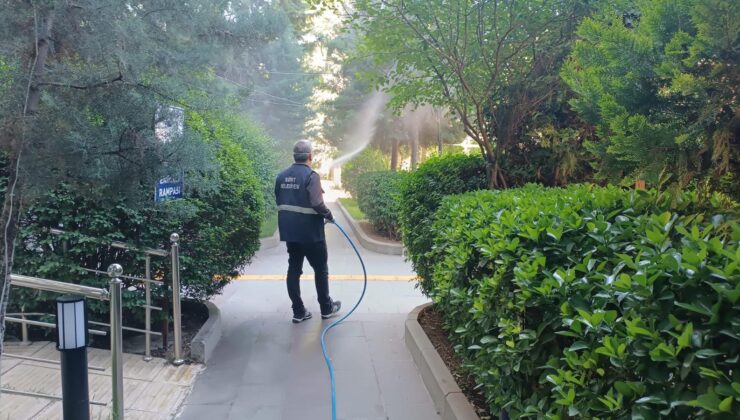 Siirt’te Haşereye Karşı Gece de İlaçlama Yapılıyor