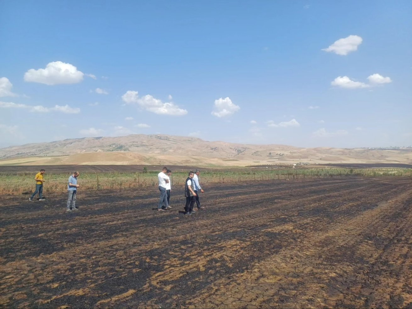 Siirt'te Anız Yangınları Sonrası Hasar Tespit Çalışmaları Tamamlandı | Siirt Olay Haber Siirt'te Anız Yangınları Sonrası Hasar Tespit Çalışmaları Tamamlandı | Siirt Olay Haber