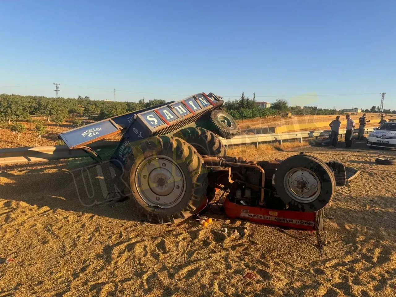 Şanlıurfa’da Kurbanlık Sevkiyatı Yapan Tır Kaza Yaptı | Siirt Olay Haber Şanlıurfa’da Kurbanlık Sevkiyatı Yapan Tır Kaza Yaptı | Siirt Olay Haber