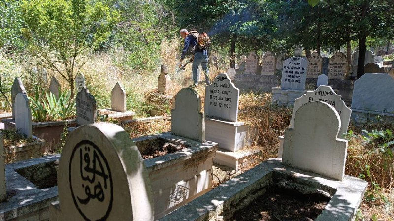 Siirt Belediyesi Kurban Bayramı Öncesi Mezarlıklarda Temizlik Çalışması Başlattı | Siirt Olay Haber Siirt Belediyesi Kurban Bayramı Öncesi Mezarlıklarda Temizlik Çalışması Başlattı | Siirt Olay Haber