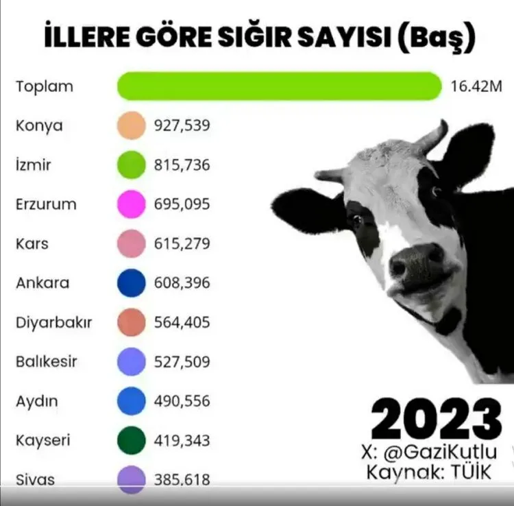 Diyarbakır Bu Yıl 6. Sırada Yer Aldı | Siirt Olay Haber Diyarbakır Bu Yıl 6. Sırada Yer Aldı | Siirt Olay Haber