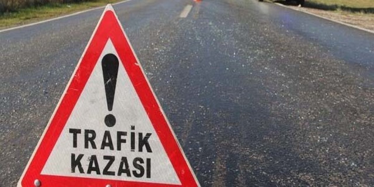 Cizre’de Koyun Sürüsüne Çarpan Araç Çobanın Ölümüne Neden Oldu