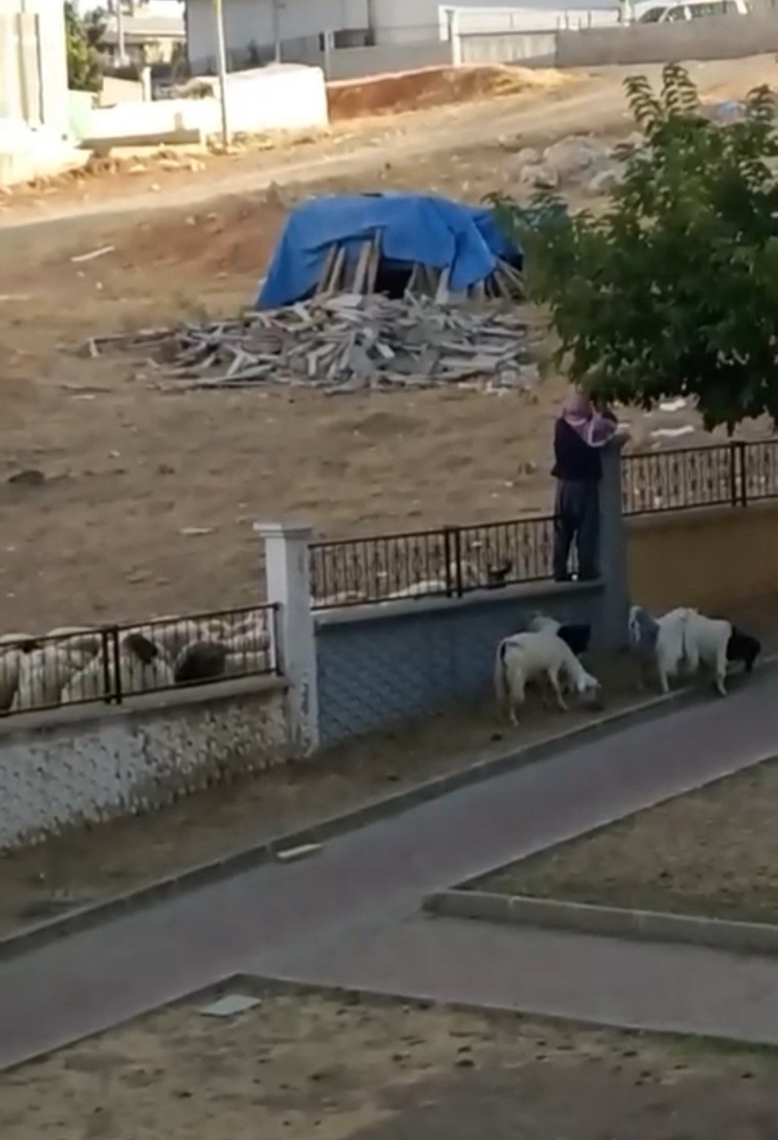 Siirt’te Bulunan Bir Parktaki Görüntüler Pes Dedirtti