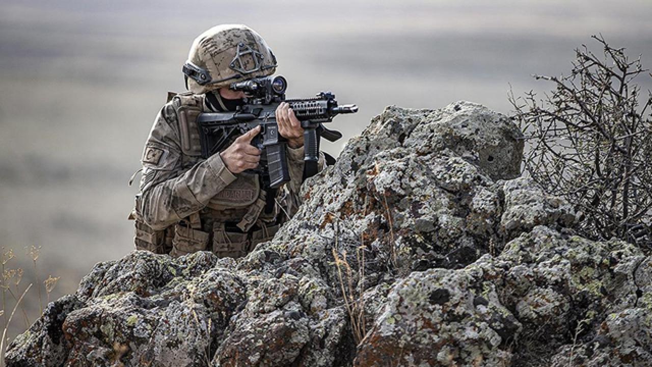 “BOZDOĞAN-50” Operasyonunda 2 Terörist Etkisiz Hale Getirildi