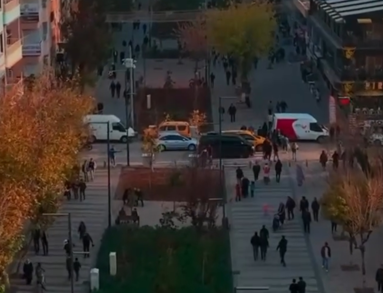 Siirtliler İçin Çöp Kutusunun Anlamı Yok! 