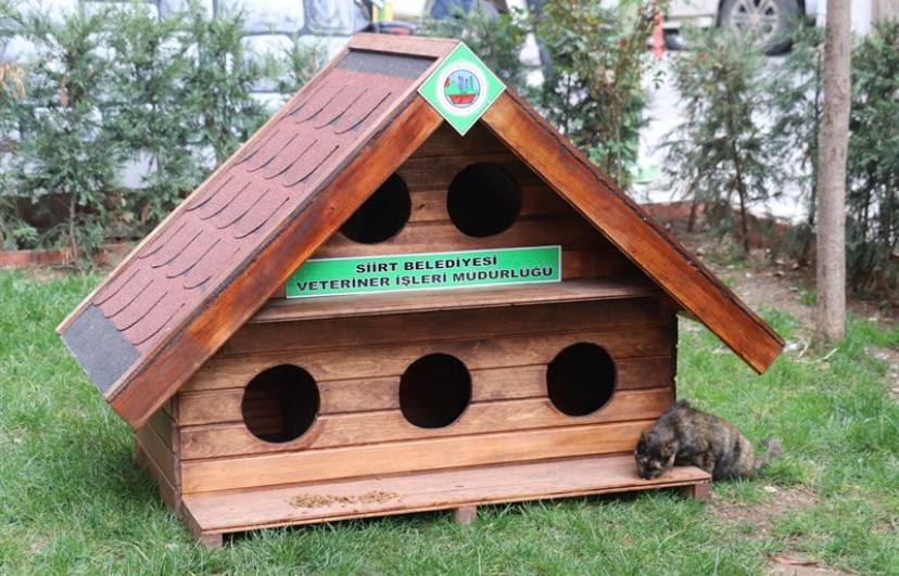 Siirt’te Kedi Evi Dağıtımı