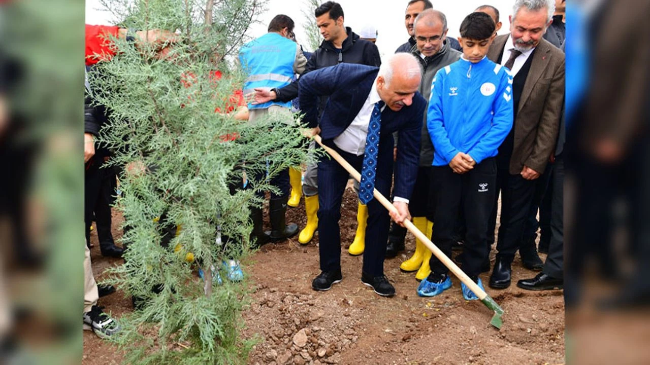 Diyarbakır’da ağaçlandırma seferberliği