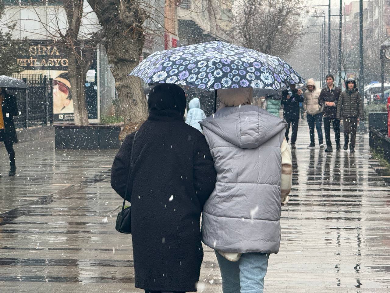 Kar Yağdı, Siirtliler Telefona Sarıldı