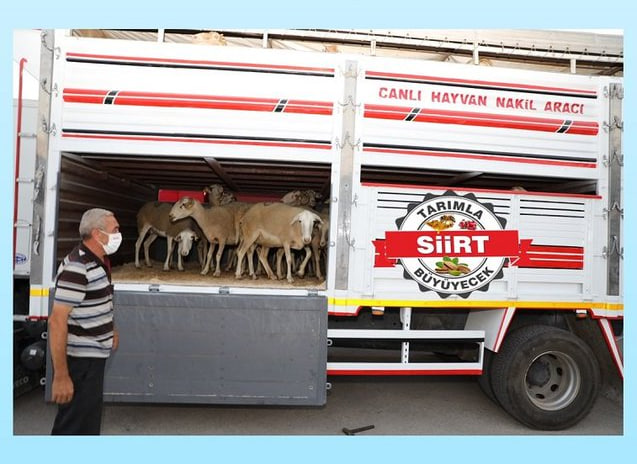 Siirt’te Nakliyeciler, Sürücüler ve Bakıcı İçin Kurs