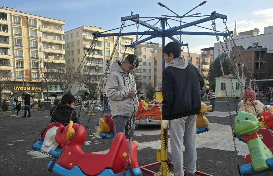 Siirt’te Atlı Karınca Güneşi Görünce Çalışıyor!