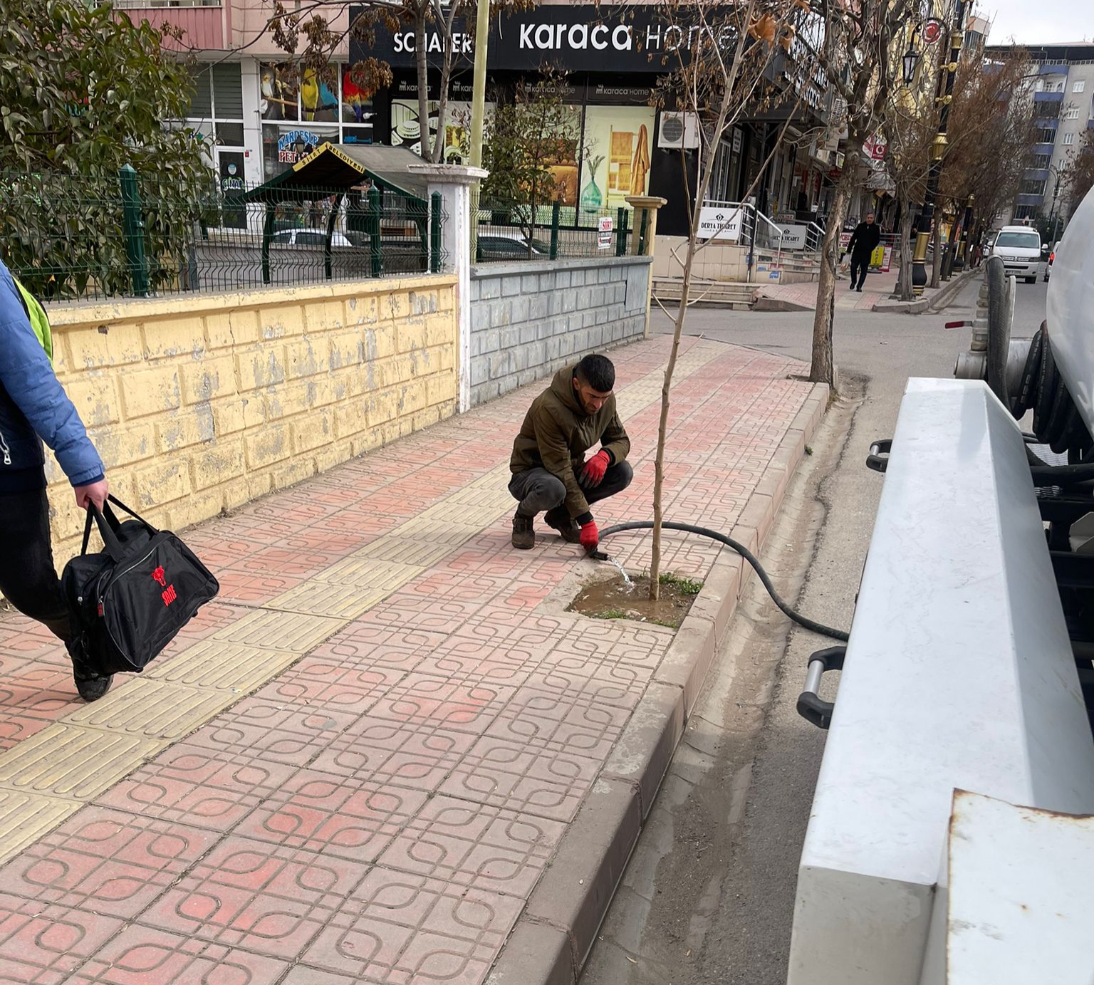 Siirt’te Ağaçlara Can Suyu Veriliyor: Yeşil Alanlar Koruma Altında
