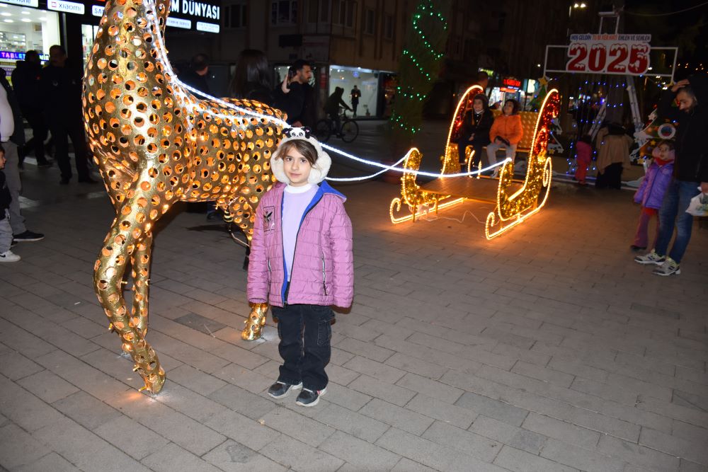 Siirt’in Güres Caddesi’ndeki Kızak ve Geyik Dekoru Büyük İlgi Görüyor