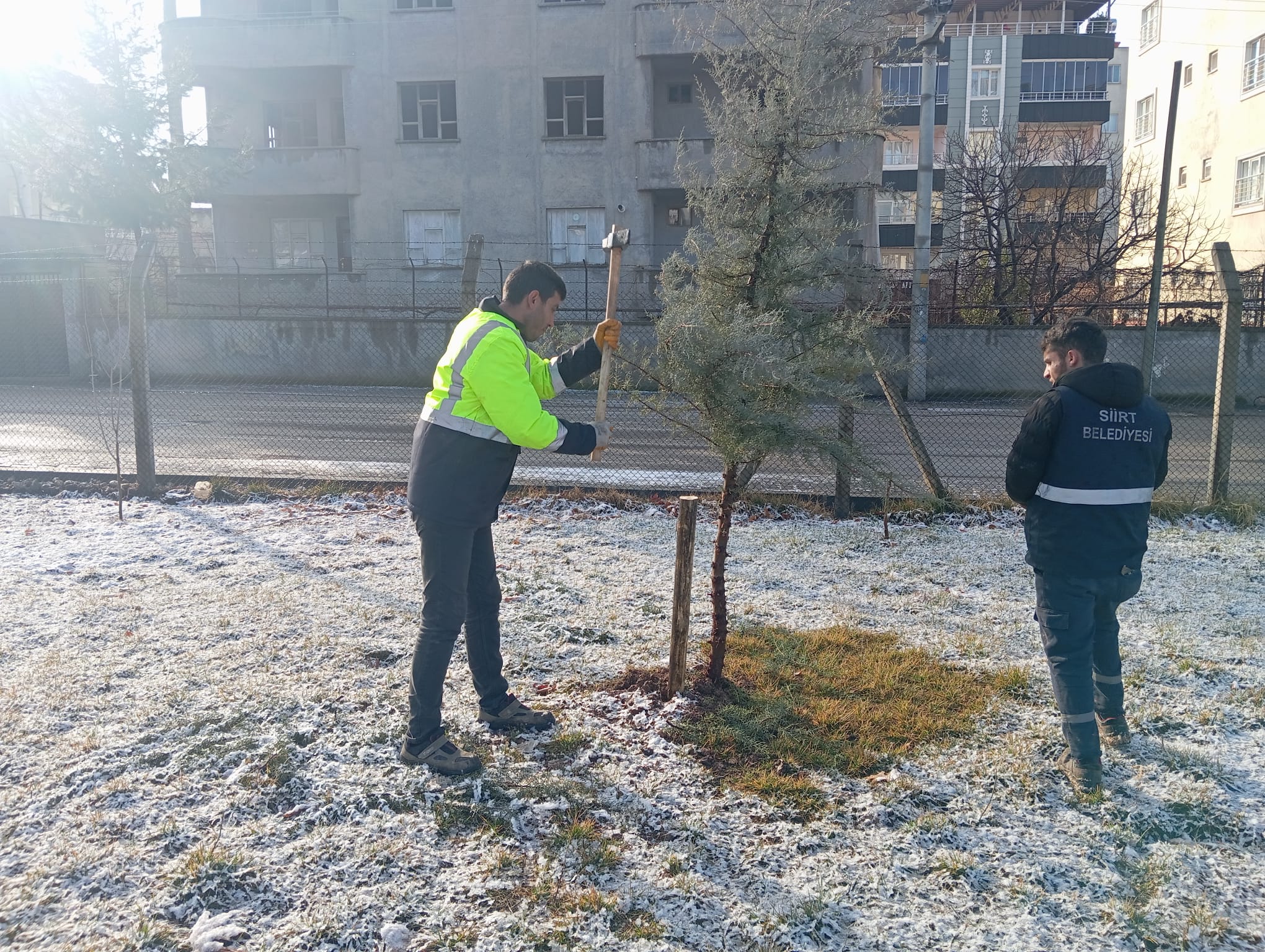 Siirt Belediyesinden Kent Merkezinde Yeşillendirme Çalışmaları