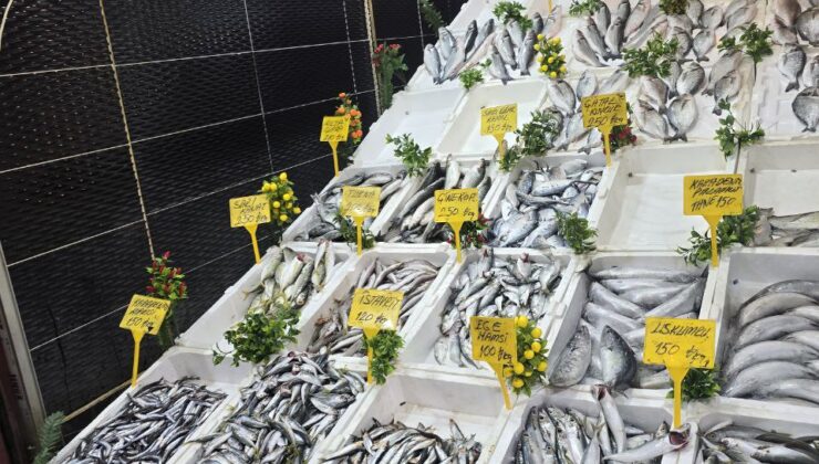 Siirt’te Çocuklara Balık Yedirin Tavsiyesi