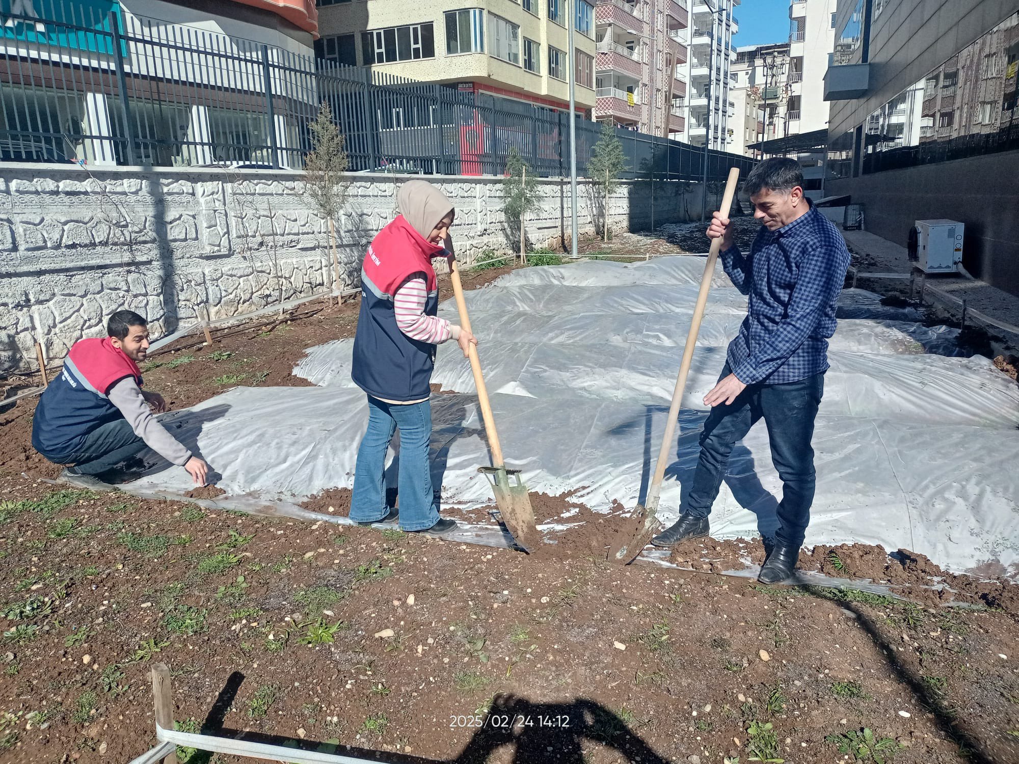 Siirt İli Salep Demonstrasyon Alanı Çalışmaları Yapıldı