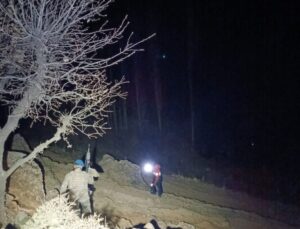 Siirt’te Kaybolan Kadın Bulundu
