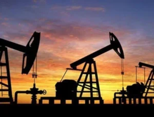 TPAO, Siirt’te Petrol Arama Sahasını Genişletecek