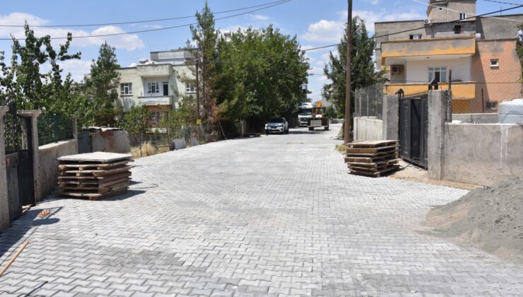 DOĞAN MAHALLESİ ŞAVURAN MEVKİİNDE KİLİT PARKE ÇALIŞMALARI TAMAMALANDI | Siirt Olay Haber DOĞAN MAHALLESİ ŞAVURAN MEVKİİNDE KİLİT PARKE ÇALIŞMALARI TAMAMALANDI | Siirt Olay Haber