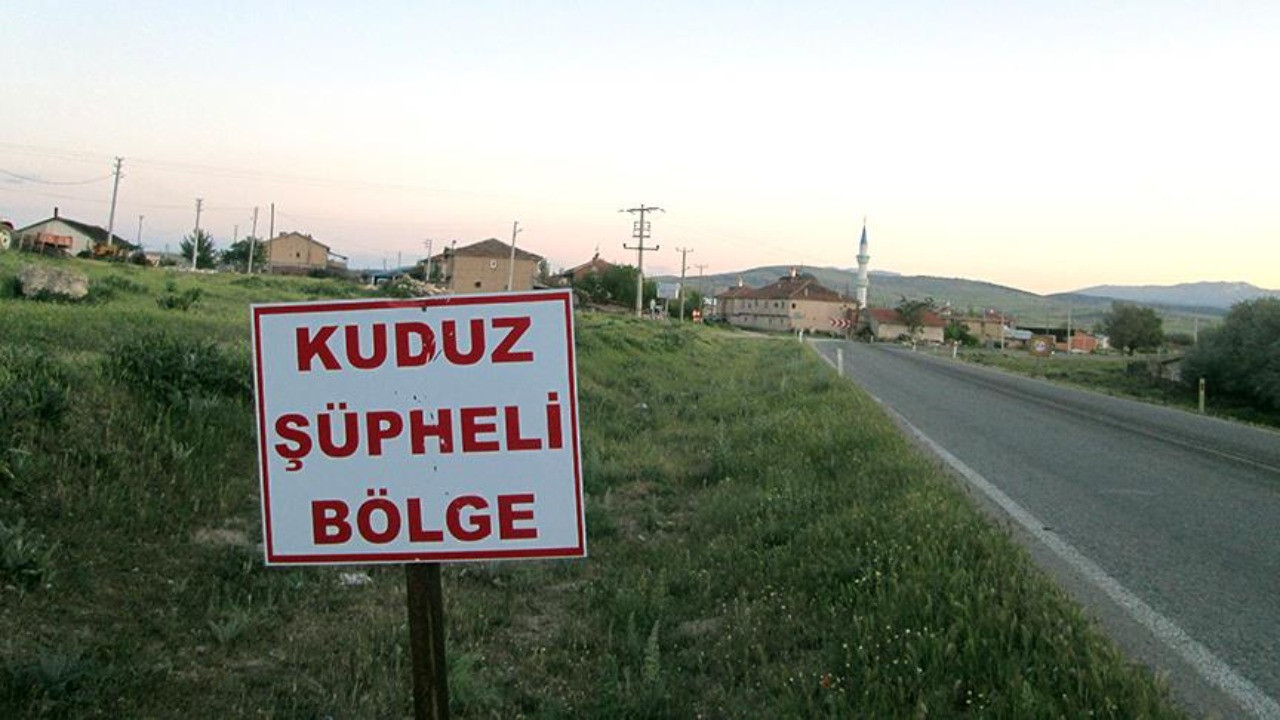 Toytepe Köyü’nde Kuduz Şüphesi İddialarına Resmî Yalanlama