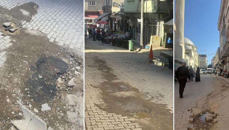 Yıllardır Aynı Görüntü: Yaşar Kemal’in 1950’leri ve 2025’in Güneydoğusu Eğitim, Tarım ve Kalkınmanın Eksik Döngüsü | Siirt Olay Haber